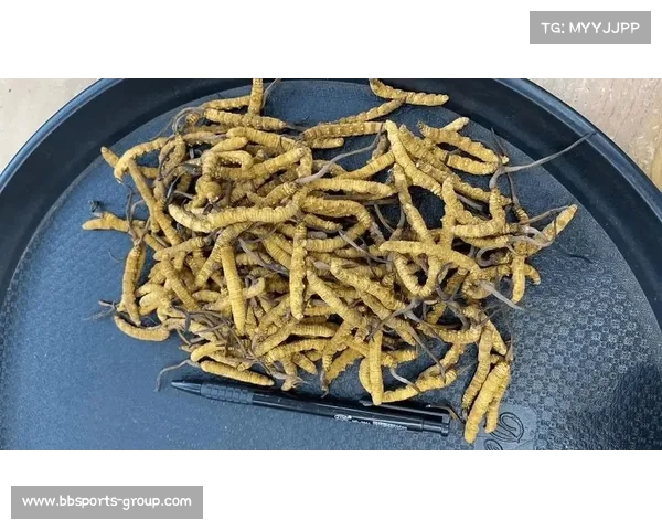 假货横行,烂食遍地:在法制缺失的阴影下,我们该如何保护自己? 假货横行,烂食遍地:在法制缺失的阴影下,我们该如何保护自己?